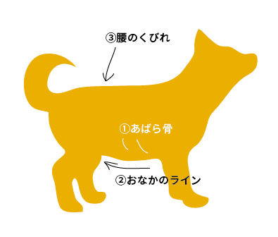 BCSチェックポイント