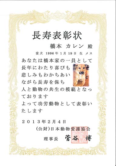 ご長寿犬に長寿表彰状