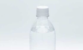 犬の脱水症状対策に経口補水液やスポーツ飲料を与えて大丈夫？