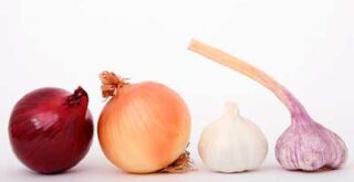 犬が食べてはいけないネギ類